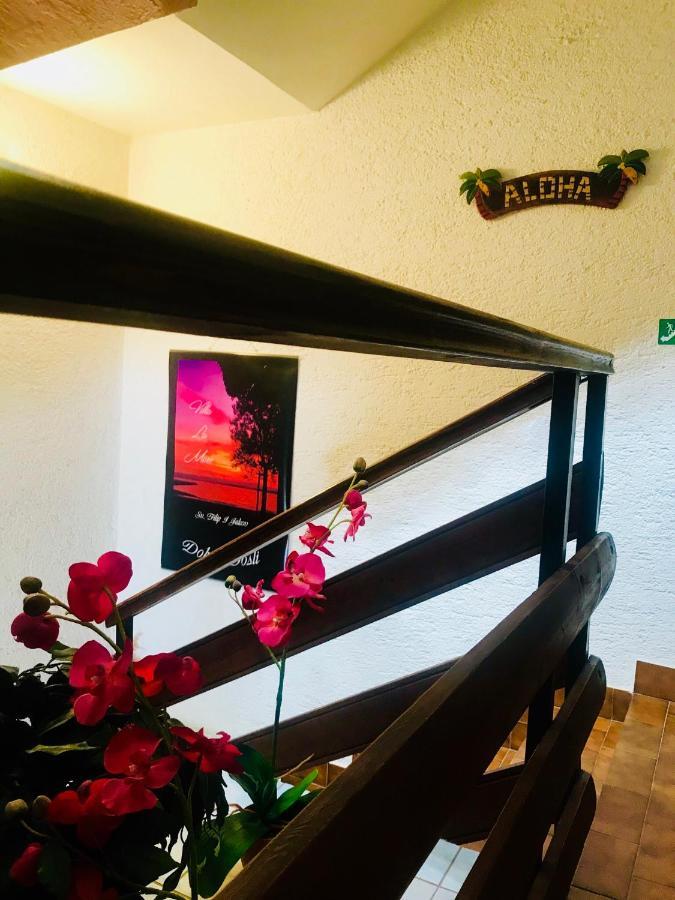 Villa La More - Sv Filip I Jakov Sveti Filip i Jakov Luaran gambar
